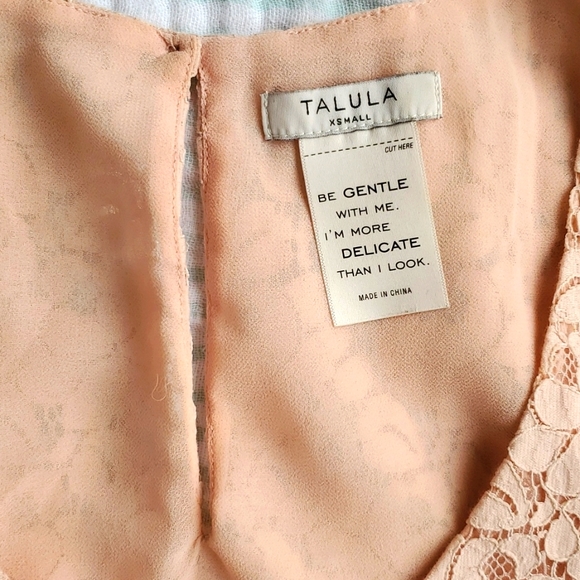Talula Aritzia Betty Lace Tank - Picture 3 of 5
